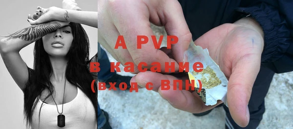 стаф Бронницы