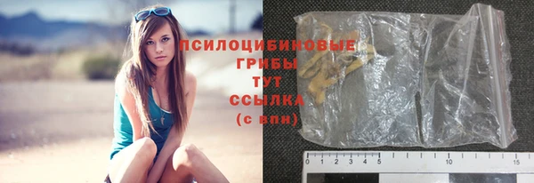 стаф Бронницы