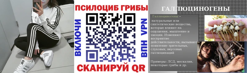 Псилоцибиновые грибы GOLDEN TEACHER  ссылка на мегу   Красавино 
